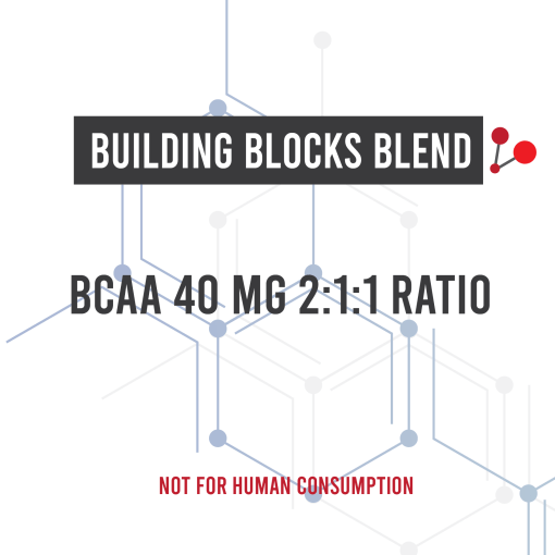 Building Blocks Blend 20mL | Amino Asylum Research Compound