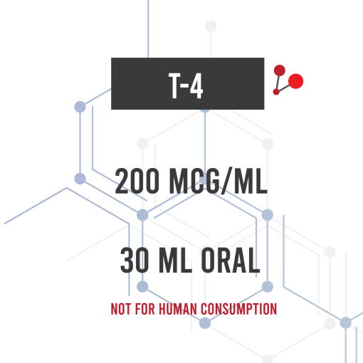 T4 200mcg 30mL | Amino Asylum Research Compound